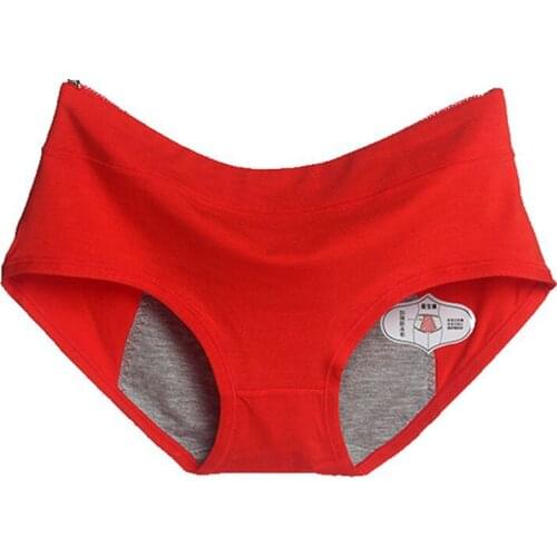 2 pcs M-XXL Girl Period Panties Menstrual Physiological Brief LeakProof Underwear Big size Mid-waist Cotton Lady Health Seamless