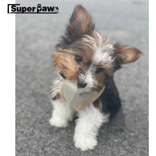 Fashion Pet Dog Waistcoat Style Leather Harness Leash Set for Small Medium Dogs Outdoor French Bulldog Corgi Dropshipping ZLL13