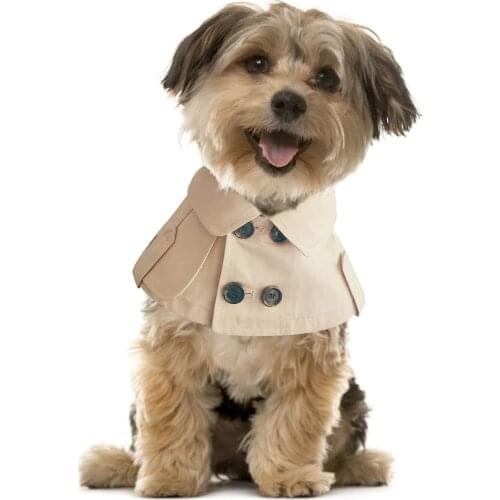 Teddy Cute Saliva Towel Neckerchief British Style Dog Bib Bandage Windbreaker Cloak Puppy Clothes Pet Accessories Supplies 2021