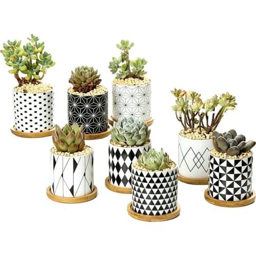 Ceramic Black White Flower Pot Bonsai Small Pots for Flowers Succulent Planter Garden Balcony Decoration FlowerPot