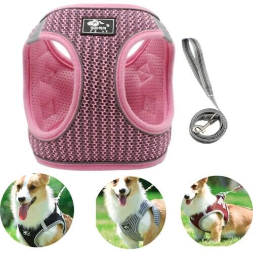 Adjustable Dog Harness Fashion Puppy Accessories Breathable Dog Leash and Harness Reflective Custom Pet Chest Strap Dog Stuff