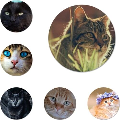 Cat Staring Eyes Badge Brooch Pin Accessories For Clothes Backpack Decoration gift 58mm