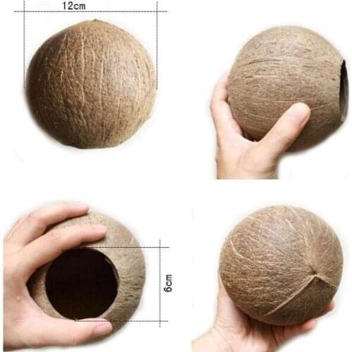 Coconut Shell Half Coconut Shell for handicraft or pet feeder