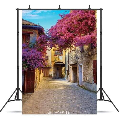 Red Leaves Street Vinyl Background For Photophone Portrait Child Baby New Born Shower Backdrop Photocall Photo Shoot