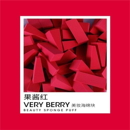 50pcs/set Super Soft Triangle Sponge Block Cushion Puff Wet and Dry Make-up Beautifying Egg