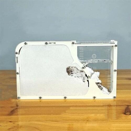 Big Formicarium Ant Nest ,ant Farm Acrylic Insect Ants House Ecological Workshop Reptile Home