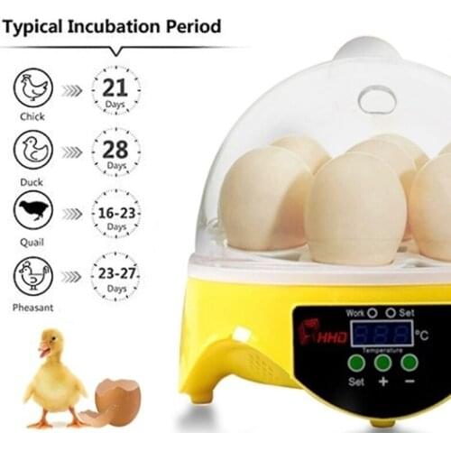 110V/220V Eggs Incubator Brood Machine Duck Egg Hatcher Electronic Automatic Incubator Pigeon Quail Goose Birds Incubation Tools