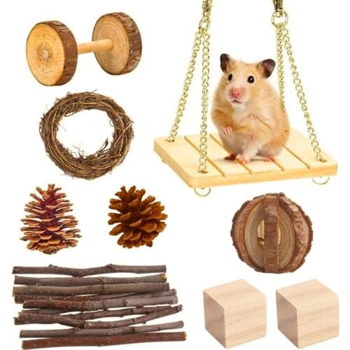 Hamster Chew Toy Set Natural Wooden Pine Guinea Pig Chinchillas Rabbits Exercise And Teeth Care Toys Molar Toys For Birds