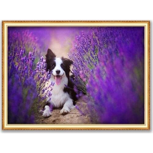 Animal Border Collie DIY 11CT Embroidery Cross Stitch Kits Needlework Craft Set Printed Canvas Cotton Thread Home Design On Sale
