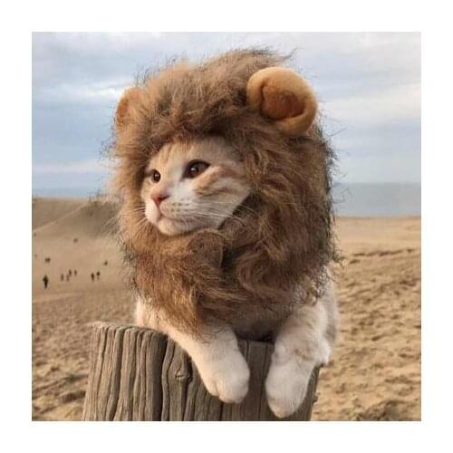 Lion Plush Ear Dog Helmet Pet Hat Small Medium Cap Accessories For Head Pet Products Cat Hat Birthday Party Costumes