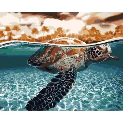 Diy Paint By Numbers for Adults Beginner, Colorful Sea Turtle Paint By Numbers Kit Ocean Animal Drawing Paintwork