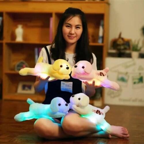 Профессиональное освещение MIAOOWA China At AliExpress