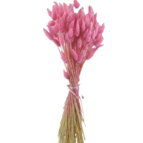 Dry flower Natural Dried flower Colorful 35 cm1 Bundle decoration artificial flower искусственный цветок