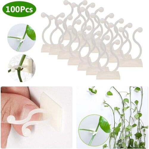 100PCS Invisible Plant Climbing Clip Wall Rattan Sticky Hook Vines Fixing Clips Fixture Invisible Wall Vine Clips Hooks Holder