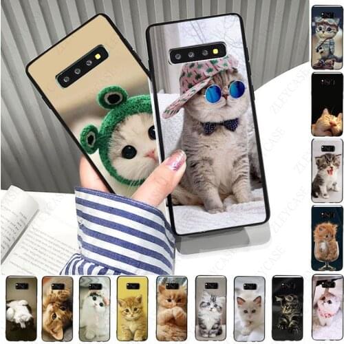 Funny Cat cool hot soft Phone Case For samsung galaxy s10plus s10e s10lite s9 s8plus s20plus s7 s20fe s20ultra cover