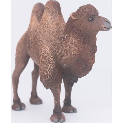 CollectA Wild Life Animals Bactrian Camel Plastic Simulation Children Toy Model #88807