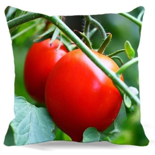 For home hotel car sofa decoration Two tomato Vegetables Home Textile bedding square cotton polyester pillow cover