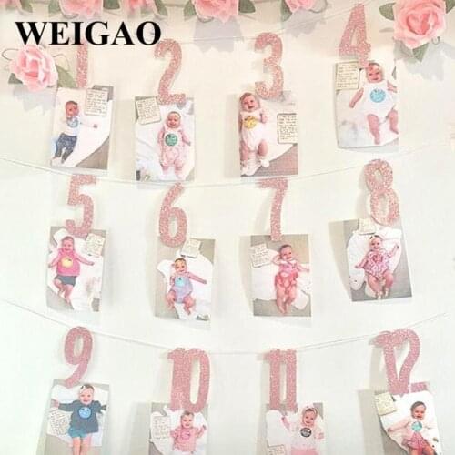 WEIGAO Baby 1st Birthday Photo Banner Star Heart Photo Garland with Clips Girl First Birthday 1 One Year Monthly Photo Props