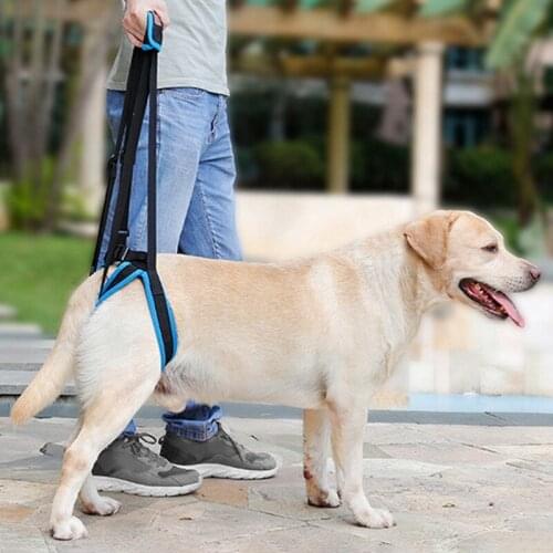Adjustable Dog Lift Harness for Back Legs Pet Support Sling Help Weak Legs Stand Up Pet Dogs Aid Assist Tool #4