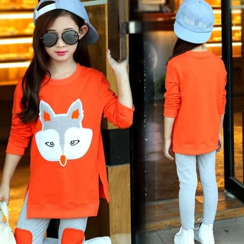 Insular Sets Of Clothes For Girls