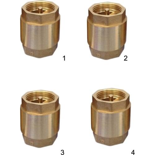 2 Inches NPT Vertical In-line Spring Loaded Brass Check Valve