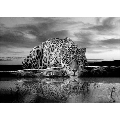5D square round Diy Diamond Painting Animals Leopard black white Wall art Daimond Embroidery Cross Stitch Mosaic StickerZP-2499