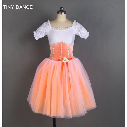 Short Sleeve Romantic Ballet Dance Tutu for Girls and Women Stage Performance Ballerina Costume Leotard Dress 20161