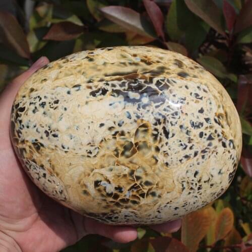 1970g Beautiful Natural Polished Red agate Stone Sample QUARTZ CRYSTAL HEALING Aquatic Plants Madagascar Home decoration M11