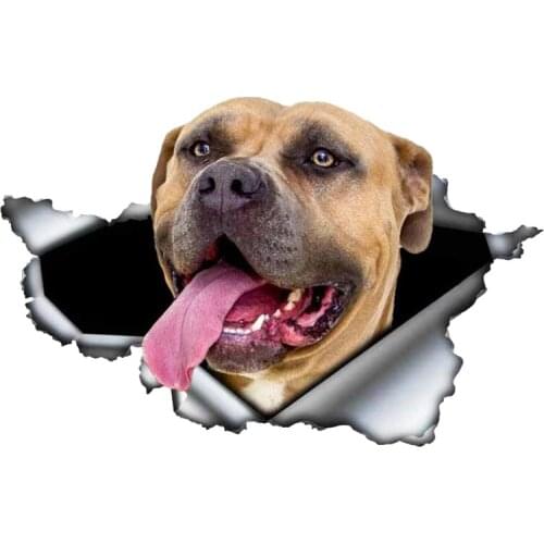 B0106# Funny Self-adhesive Decal Pitbull Dog V3 Car Sticker Waterproof Auto Decors on Bumper Rear Window Laptop Home Decor