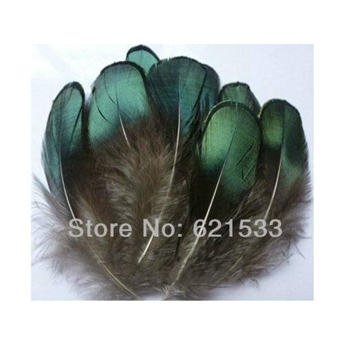 200Pcs/Lot 4-8cm Lady Amherst Iridescent Green Plumage Feathers Crafts Jewelry Fly Tying,Lady Amherst Plumage feathers