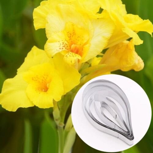 Canna 5Pcs Stainless Stell Cookie Cutter Pastry & Biscuit Baking Cutter Cake Decorating Tools Cupcake Mold Fondant Tools