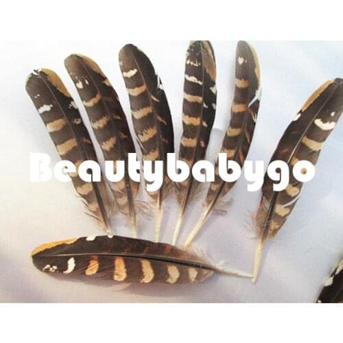 Nature Brown&Yellow chicken/rooster/guinea feathers 500Pcs/Lot 15-20cm reeves venery pheasant wings feathers