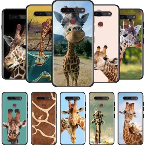 Giraffes Cute Animal For LG G8 V30 V35 V40 V50 V60 Q60 K40S K50S K41S K51S K61 K71 K22 ThinQ 5G Phone Case