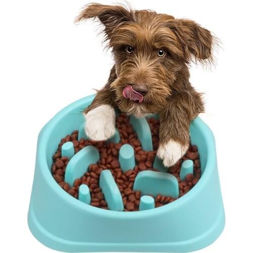 Pet Dog Slow Eating Bowl Slow Feeder Dog Food Bowl Hard Plastic Dog Slow Feeder Cat Pet Feeder NonSlip Anti Gulping Feeder Bowl