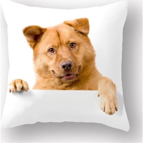 Excellent quality latest 3d animal design bed backrest plain blank sublimation cushion cover