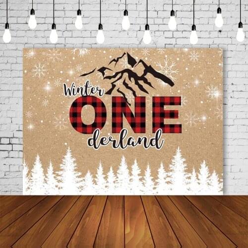 Winter Onederland Backdrop Snowflake Boy 1st First Birthday Christmas Party Wonderland Northern Europe Style Portrait Background