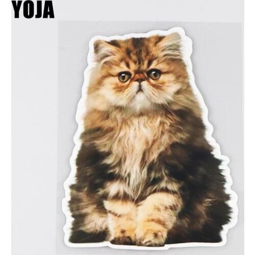 YOJA 12×15.6CM Persian Cat Animal Cartoon Body Stickers Creative Scratch Occlusion Car Decoration 19B-0018