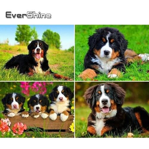 Evershine 5D DIY Diamond Mosaic Sale Animal Cross Satitch Diamond Embroidery Full Display Dog Rhinestones Pictures Diamond Art