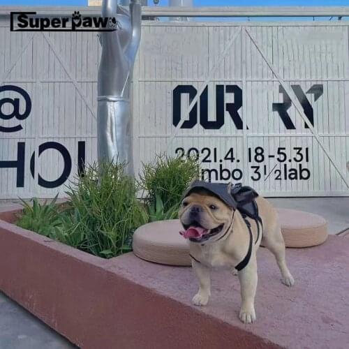 Fashion Pet Dog PU Leather Backpack Bag With Hat Adjustable Bags For Puppy Small Medium Dogs Schnauzer French Bulldog Pug YKB03