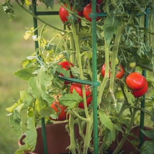 12pcs Garden Stakes Arms for tomato Cage 10-14 Inches Expandable Potted Frame Connectors Climbing Plant Vine Vegetables M17D