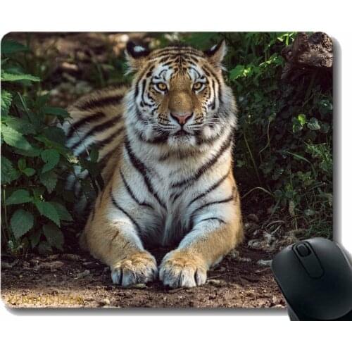 Mouse Pad Funny Customized,Tiger Lies Big Cat 120940 Comfortable Mouse Mat For Gaming And Office