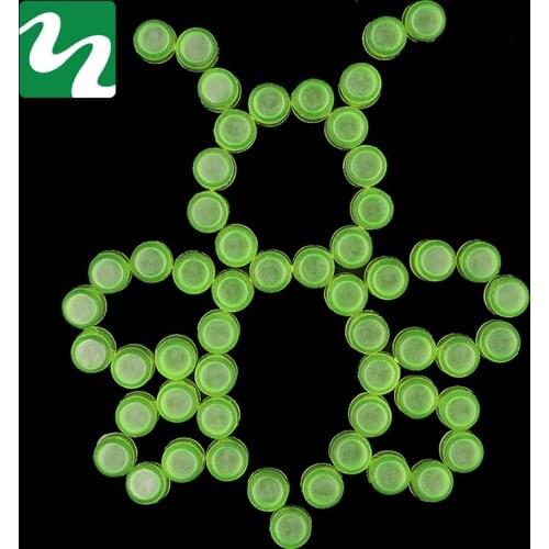 200 Pcs Bee Breeding Tools Female Bee House Larvae Incubator Bee Feeding Beehive Beekeeping Equipment Light Green