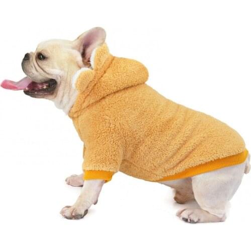 Spring And Autum Pet Dog Clothes Plush Warm Cute Hoodie Sunflower Dog Clothes dog clothes Hoodies Sweatshirt clothes small dogs