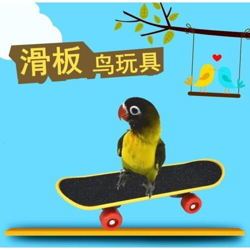 Parrot Intelligence Toys Mini Training Skateboard For Budgies Parakeet Growth Funny Toy Grinding Claw Mini Skateboard