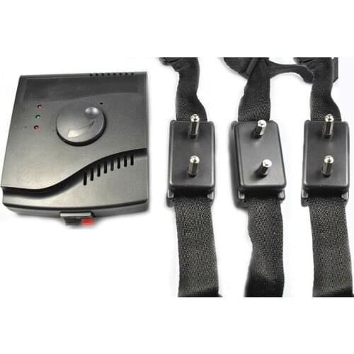 Ground-in Waterproof Wireless dog fence electric dog fence for 3 dogs training range up to 5000 square meters