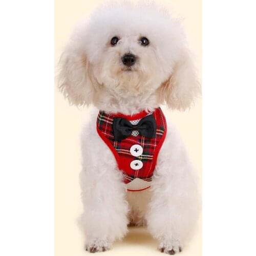 Breathable Mesh Elegant Bow Small Dog Pet Harness and Leash Set Puppy Vest Red Black Pets Walking For Running Dogs Accessories