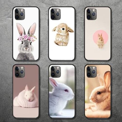 Phone Case for iPhone 12 11 mini pro XS MAX 8 7 6 6S Plus X 5S SE 2020 XR Cute rabbit