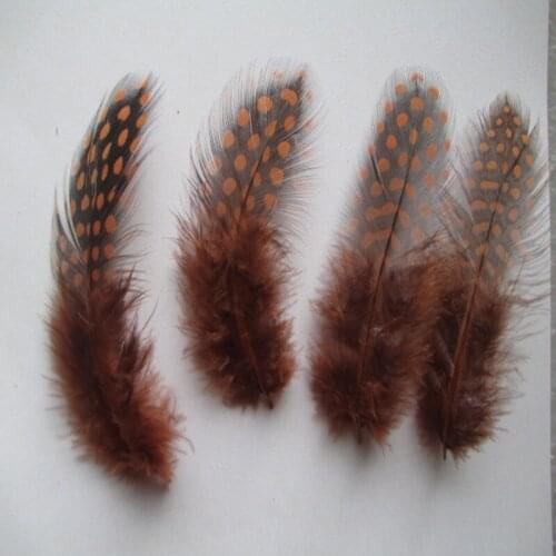 20 pcs Brown color guinea fowl feathers 2-3 inches / 5-8 cm decoration feather jewelry