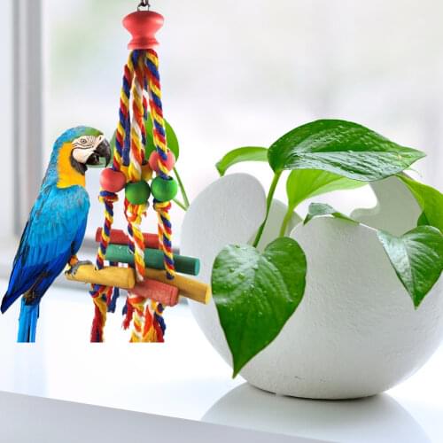 Товары для птиц JOCESTYLE China At AliExpress