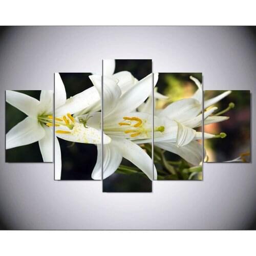 White Flower Painting Wall Art Picture for Home Decoration Living Room Canvas Print Modern Painting 5 Pieces IM-325